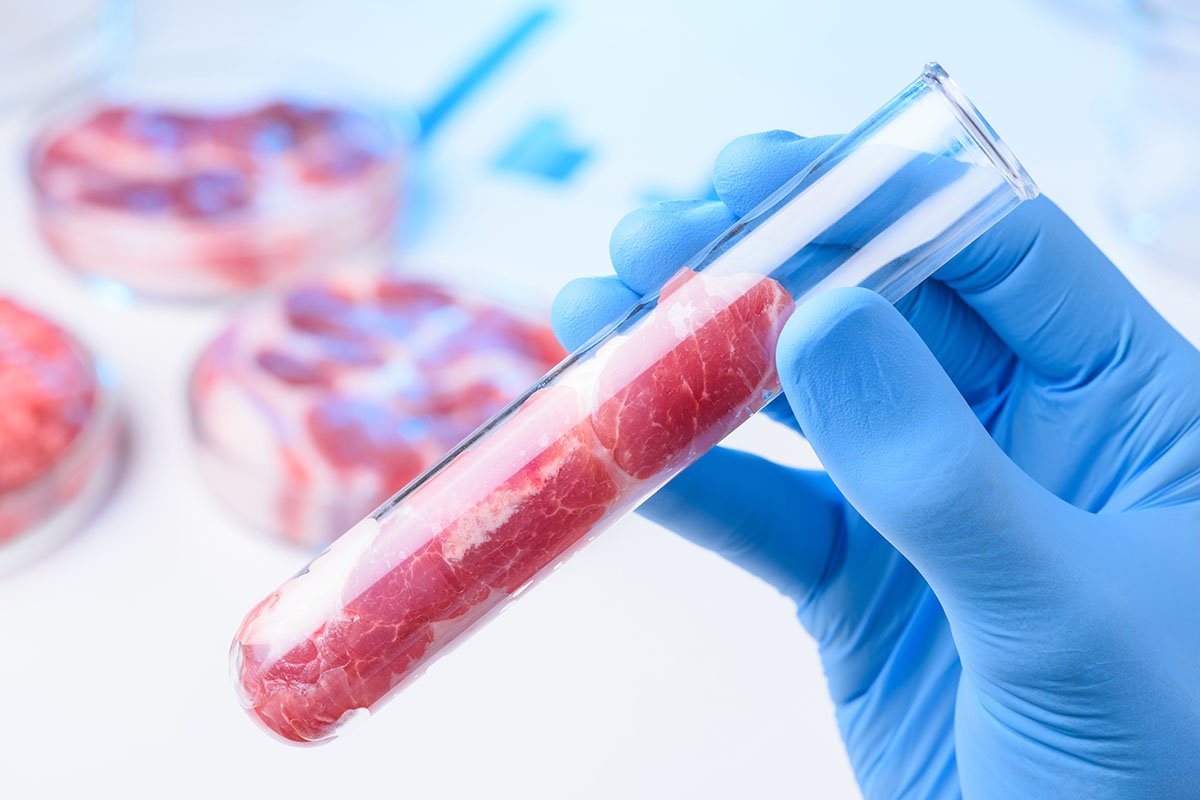 Бургер in vitro. «Выращивание» синтетического мяса становится экономически оправданным